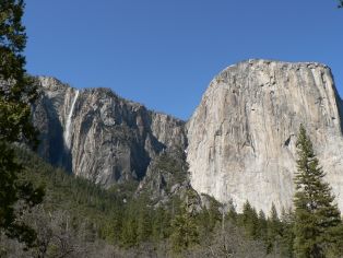 Yosemite NationalPark - mehr als nur Bäume!