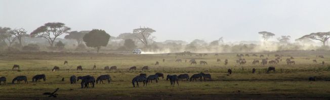 Kenia-auf Safari durch Nationalparks&Schutzgebiete